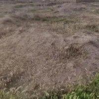 زمین 95متری رسالت