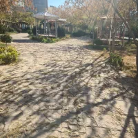 آشپز ایرانی