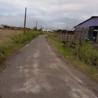 زمین ۴هکتاری جای خوب و موقعیت خوب|فروش زمین و ملک کلنگی|دابودشت, |دیوار