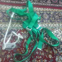 کمربند ایمنی|کیف، کفش، کمربند|مشهد, شفا|دیوار