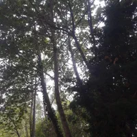 آپارتمان 107متر/2خواب /ویومادی صفه/طراحی مدرن شیک|پیش‌فروش املاک|اصفهان, مهدیه|دیوار