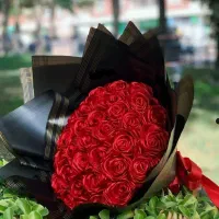گل ربانی|گل و گیاه طبیعی|شیراز, قلات|دیوار