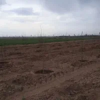 فروش ۱۲ ماهه  چکی قطعه محدود/ زعفرانیه سهیلیه /|فروش زمین و ملک کلنگی|رامجین, |دیوار