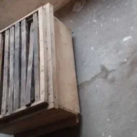 کندو خالی زنبور عسل