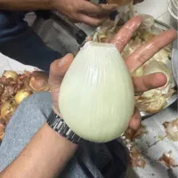 نیرو اشپزخانه