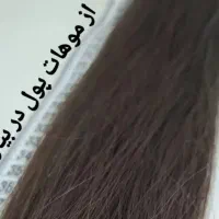 خرید و خریدار مو طبیعی از استان اصفهان نطنز
