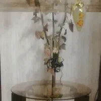 آباژور کنار ساکنی