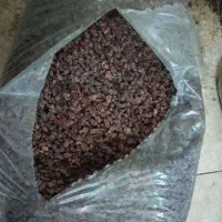 کشمش آفتابی تاکستان