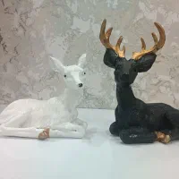 گوزن های زیبا