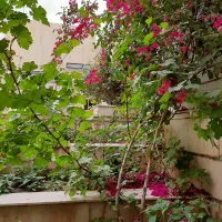 منزل ویلایی سه طبقه ۲۵۲ متر دورشهر خ بسیج