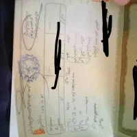 شناسنامه ها گم شدن اگه کسی دید لطفاً خبر بدی