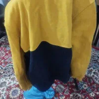 دوعدد پلارنو|لباس|سنندج, |دیوار