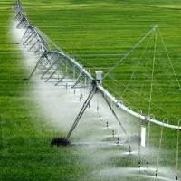 اجاره زمین آبی ۲۵هکتار