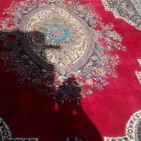 فرش|فرش|گرگان, |دیوار
