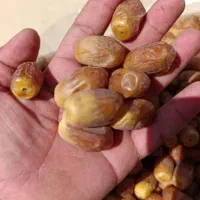 خرمای زاهدی