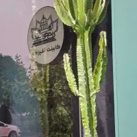 استادکار mdf