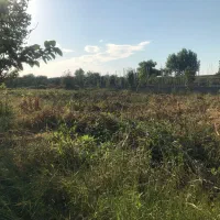 ۲۱۰ متر زمین مسکونی بهنمیر هلی باغ