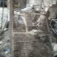 درب 3لت با چهار  چوب، پنجره آلومینیومی، قفس،|مصالح و تجهیزات ساختمان|سبزوار, جهاد کشاورزی|دیوار