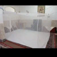 پشه بند