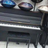 پیانو آکوستیک به قیمت پیانو دیجیتال|پیانو، کیبورد، آکاردئون|گنبد کاووس, |دیوار