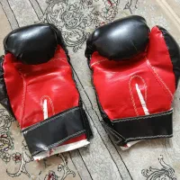 دست کش بوکس|تجهیزات ورزشی|ری, علایین|دیوار