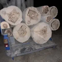 هرص و برش چوب در باقات شما عزیزان|خدمات باغبانی و درختکاری|اراک, |دیوار