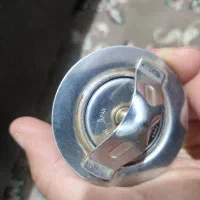 ترموستات ژاپنی اصل