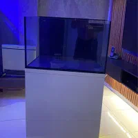 اکواریوم اب شور ریملس مشابه نو