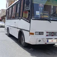 ایویکو a80