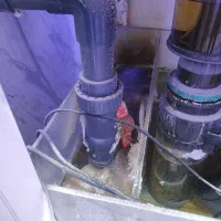 اکواریوم اب شور در حال کار کاملا سالم همراه ماهی|ماهی|تهران, صاحب الزمان|دیوار