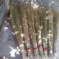 جارو دستی بلندپردست دونی 40موجوده