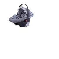 کریر دلیجان دارای سایبان