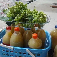 فروش آبغوره
