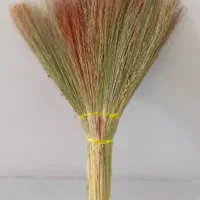 جارو|جاروبرقی، جارو شارژی، بخارشو|کوهدشت, |دیوار