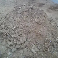 کودمرغی مخلوط خاک اره سیاه|گل و گیاه طبیعی|بندر ترکمن, |دیوار