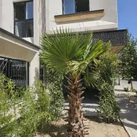 زمین ۲۲۰ متر اراضی برق تهران(کوی زیتون)