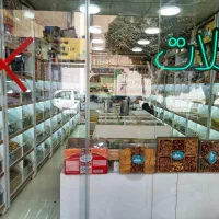 کارمند تمام وقت برای اجیل فروشی|استخدام خدمات فروشگاه و رستوران|تهران, خواجه نظام الملک|دیوار