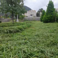 علف تراشی باغ و باغچه|خدمات باغبانی و درختکاری|رامسر, |دیوار