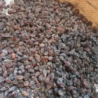 کشمش آفتابی ملکان و  دوشاب انگور خانگی ملکان