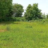 زمین-مسکونی