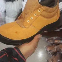 پنجه اهنی