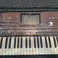 ارگ Pa700