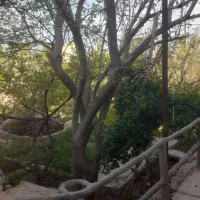خانه-باغ-فروشی-معاوضه-با-منزل-مسکونی