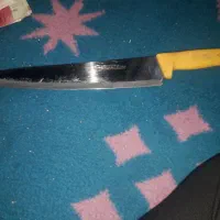 سیکیزو ژاپن