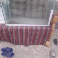 آکواریوم(تانک) شیشه ۱۰ میل