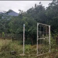 زمین.باغی|فروش زمین و ملک کلنگی|چابکسر, |دیوار