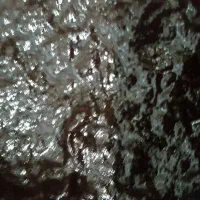 رب آلوچه|خوردنی و آشامیدنی|رشت, توشیبا|دیوار