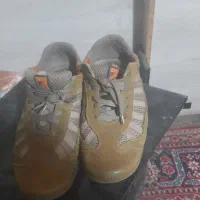 کفش کار رایگان