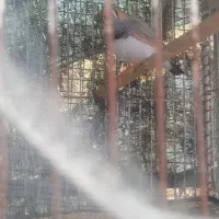 فنج فروشی