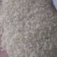 برنج درجه یک کامفیروزی اعلا بشرط پخت|خوردنی و آشامیدنی|شیراز, آزادی|دیوار